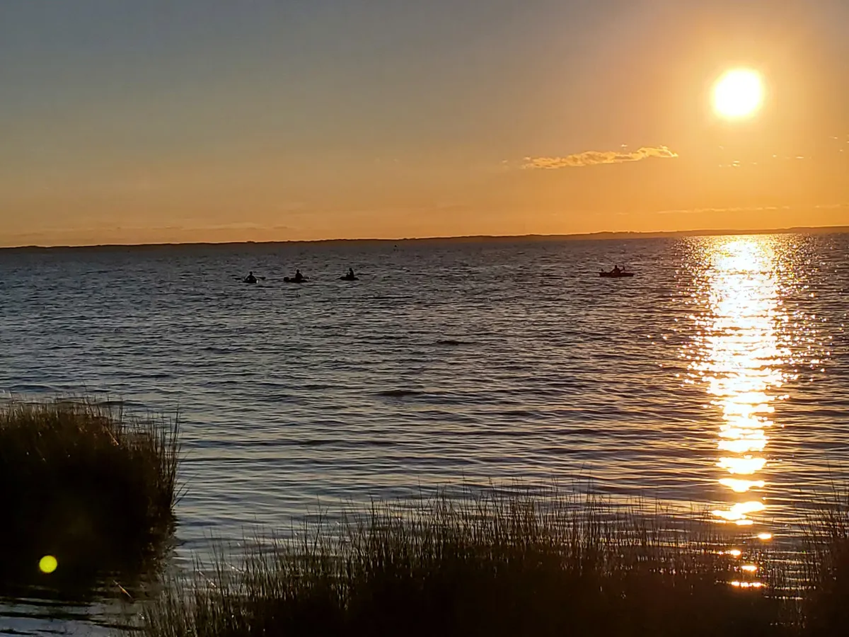 A tranquil view over the water at sunset, with kayakers paddling and natural grasses in the foreground. The warm light and calm waters hint at peaceful evenings and active family experiences in nature.